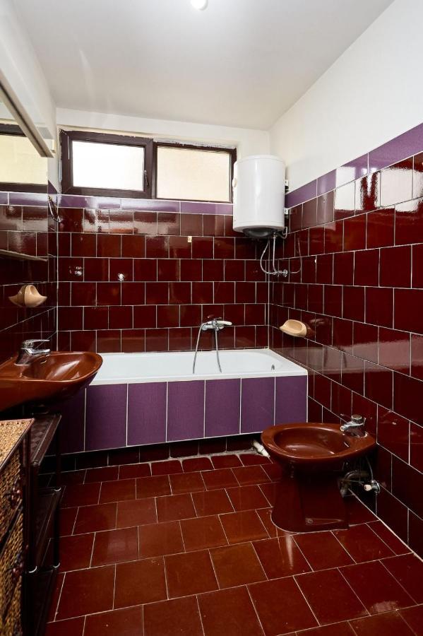Apartmani Dr. Gasa Soko Banja Esterno foto